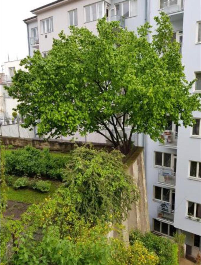 Old Town Apartment Pellicova Brünn Exterior foto